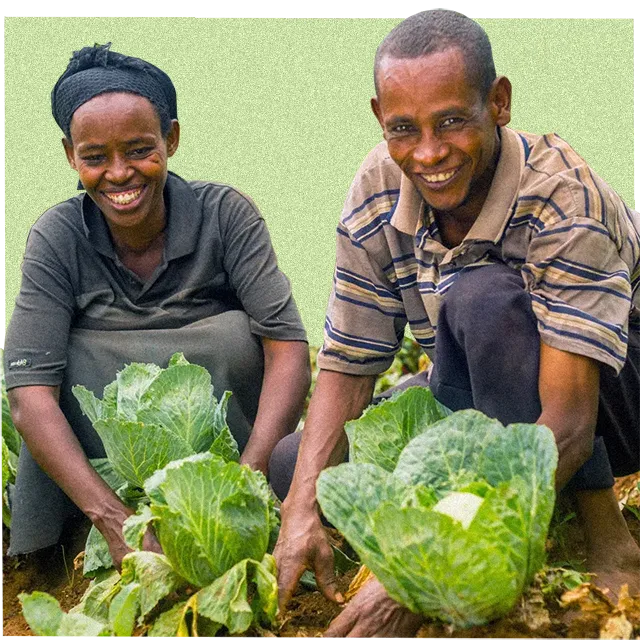 innocent farmer innovation fund